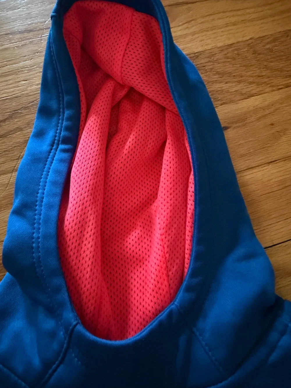 Nike Blue Hoodie with Pink Lined Hood and Multicolor Swoosh